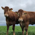 Logeren Bij Laura - A En C Tatil Evi Schulder