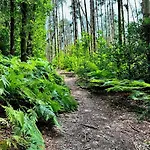 Logeren Bij Laura - A En C Tatil Evi *