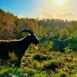 Tatil Evi Logeren Bij Laura - A En C *