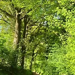 Logeren Bij Laura - A En C Tatil Evi