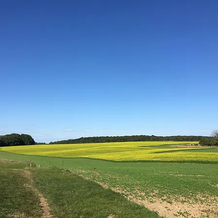 Tatil Evi Logeren Bij Laura - A En C *