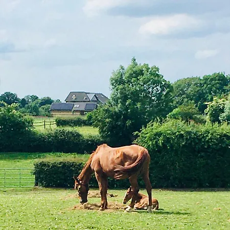 Logeren Bij Laura - A En C Tatil Evi Schulder